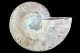 Agatized Ammonite Fossil (Half) - Madagascar #83815-1